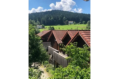 Appartamento Vacanza con famiglia Grafenwiesen