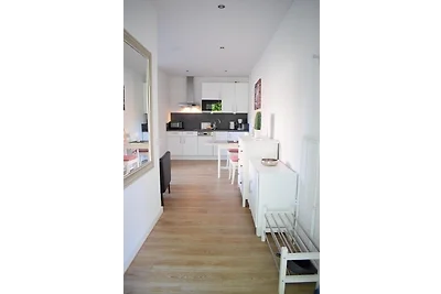 Lachmöwe, Haus an den Salzwiesen