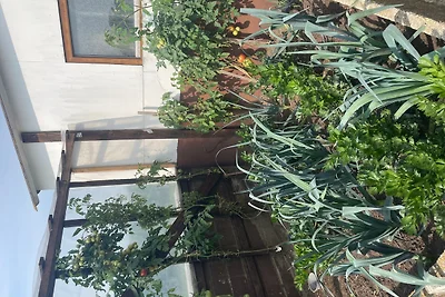 Vakantieappartement Gezinsvakantie Oettingen in Bayern