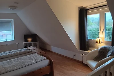Apart Heringsmöwe