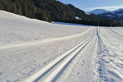Apartamento Vacaciones familiares Wildschönau