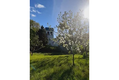 Vakantieappartement Gezinsvakantie Bad Freienwalde