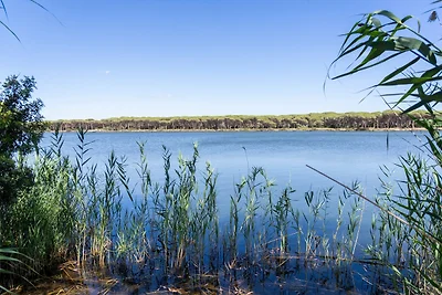 Vakantiehuis Ontspannende vakantie Orosei