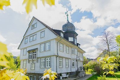 Vakantieappartement Gezinsvakantie Hahnenklee