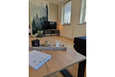 Vakantieappartement Gezinsvakantie Sankt Andreasberg