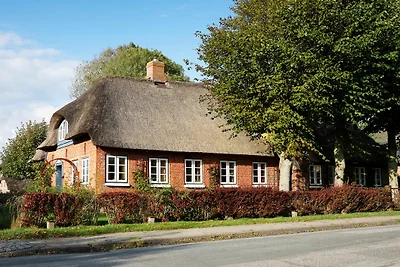 Holiday home relaxing holiday Oldsum