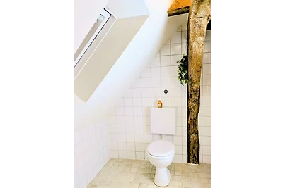 Ferienwohnung Kassel Traube bis 1 -