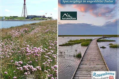 Nordseeurlaub im hochwertigen