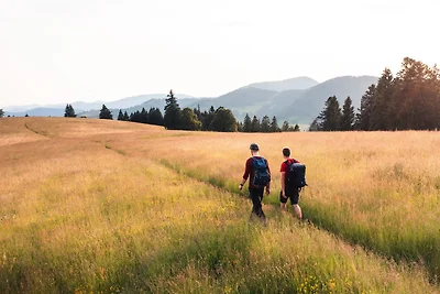 Almgasthaus Knöpflesbrunnen /