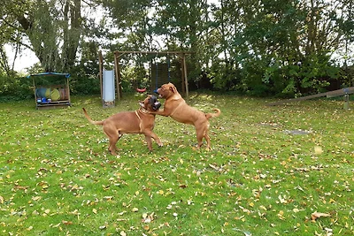 Ferienwohnungen im Koog 2
