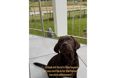 XXL-Ferienwohnung "Panoramablick"