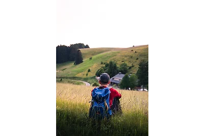 Appartamento Vacanza con famiglia Utzenfeld