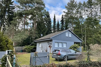 Steinhuder Meer Ferienhaus