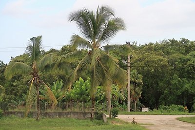 Appartement Vacances avec la famille Playa Larga