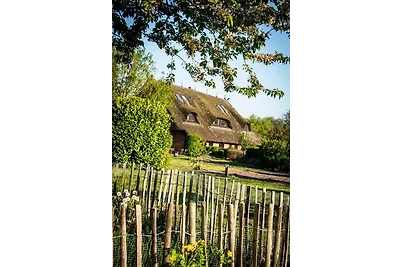 Appartamento Vacanza con famiglia Bastorf