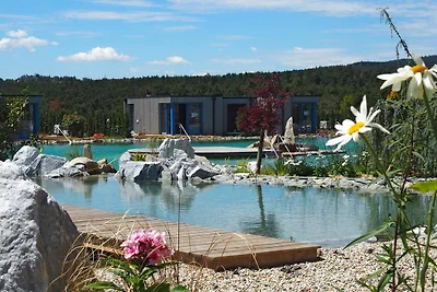 Casa vacanze Vacanza di relax Schiltern bei Langenlois