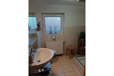 Apart Lachmöwe im Möwennest