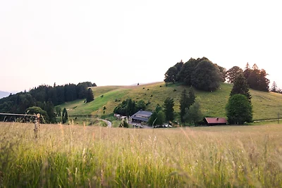 Almgasthaus Knöpflesbrunnen /