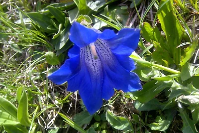 Allgäublick App23 Gästehaus in