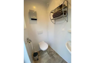 Kuhle Auszeit - Fass Sonnenblume