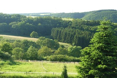 Vakantieappartement Gezinsvakantie Schleiden