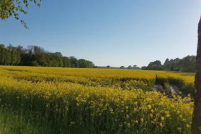 Majorcas 4 "Camp De Mar"