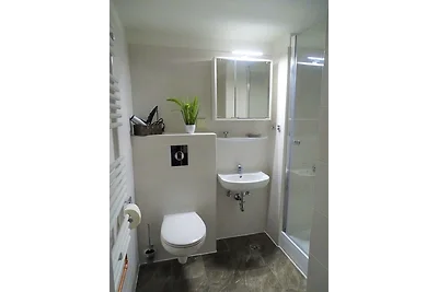 App. Sweet Harz Haus am See