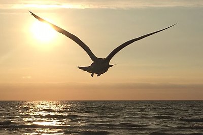 Ferienwohnung Stranddüne 117