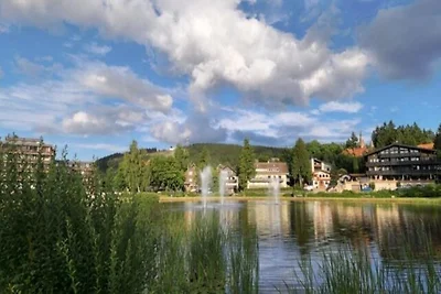 Ferienwohnung Harzstern
