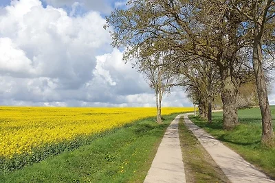 Ferienwohnung "Backsteinhaus