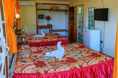 VILLA PALMARITO Appartement 1