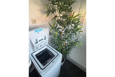 3 Zimmer/ Ruhiges Apartment mit