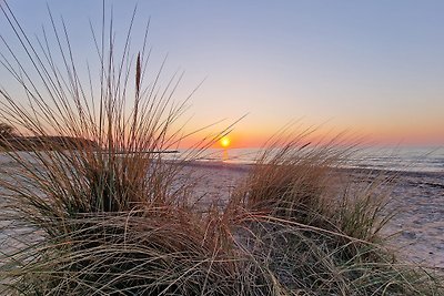 Ostseeferienpark Walkyrien -