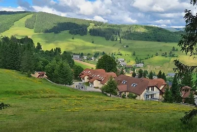 Ferien im Tannenhof Wohnung 1, in