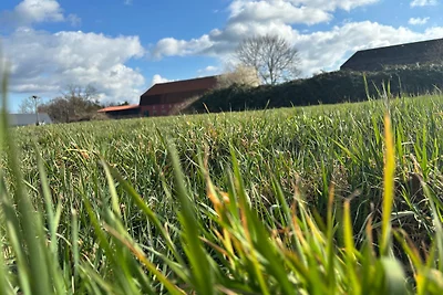 Gut Koselau Stellplatzwiese