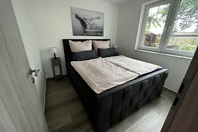 Janeviz - 34-1312 - bei