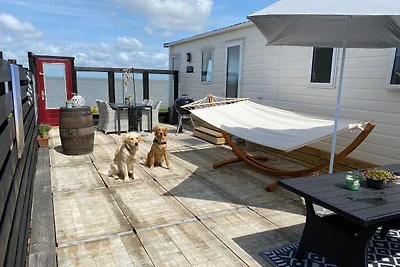 Traumlage Nr. 58 Traumblick direkt