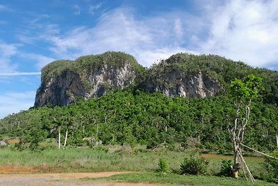 Vakantieappartement Gezinsvakantie Vinales