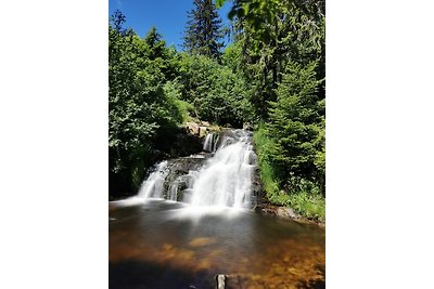 Vakantieappartement Gezinsvakantie Bernau im Schwarzwald