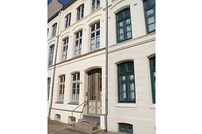 Seestern am Hafen - ABC139