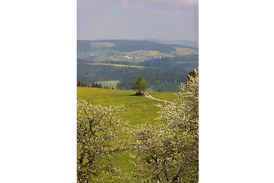 Appartamento Vacanza con famiglia Titisee-Neustadt
