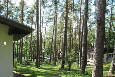 Feriendorf Mengshausen 5
