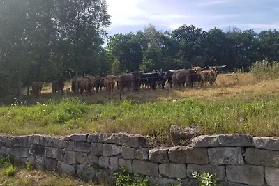 Ferienwohnung "Zum Malerweg"