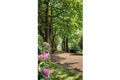 Vakantieappartement Gezinsvakantie Ihlow