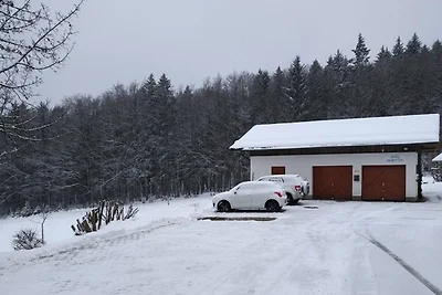 Vakantieappartement Gezinsvakantie Spiegelau