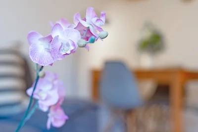 Haus Carpe Diem Strandnest