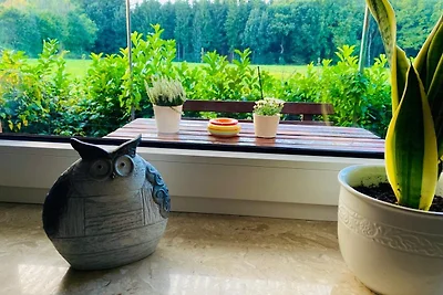 Casa vacanze Vacanza di relax Sögel