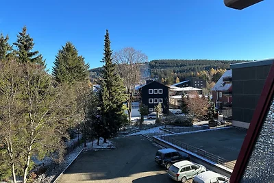 Vakantieappartement Gezinsvakantie Goslar