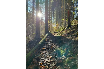 Vakantieappartement Gezinsvakantie Mastershausen