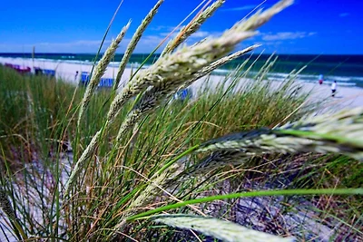 Aparthotel Pension & Gaststätte